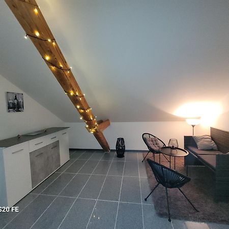 Penthouse N74 Linz 120 Qm Kids Welcome! מראה חיצוני תמונה