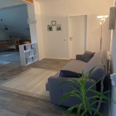 Penthouse N74 Linz 120 Qm Kids Welcome! מראה חיצוני תמונה