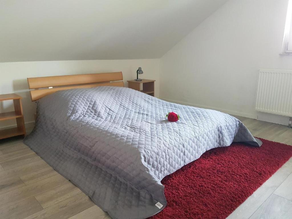 Penthouse N74 Linz 120 Qm Kids Welcome! מראה חיצוני תמונה