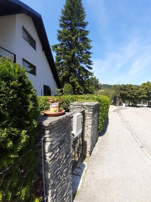 Penthouse N74 Linz 120 Qm Kids Welcome! מראה חיצוני תמונה