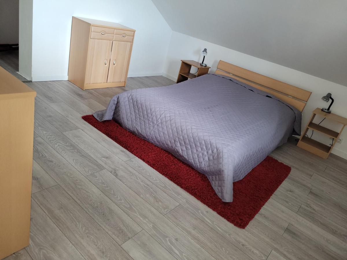 Penthouse N74 Linz 120 Qm Kids Welcome! מראה חיצוני תמונה