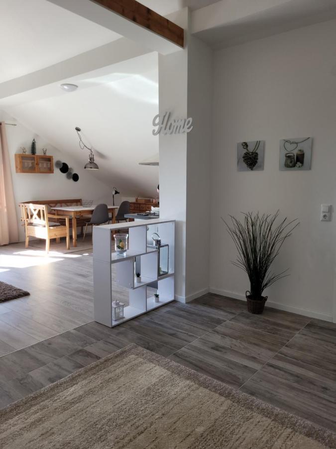 Penthouse N74 Linz 120 Qm Kids Welcome! מראה חיצוני תמונה