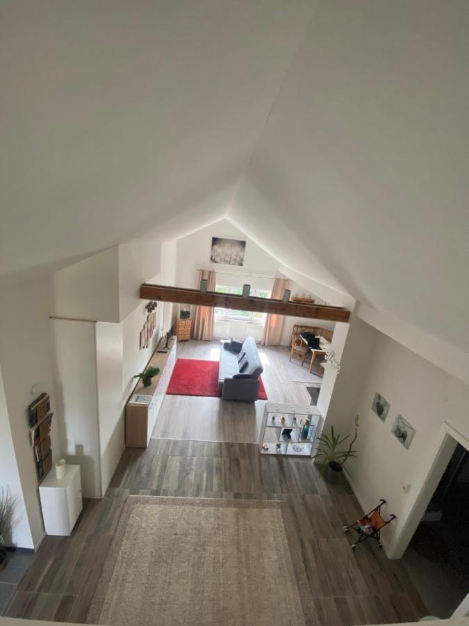 Penthouse N74 Linz 120 Qm Kids Welcome! מראה חיצוני תמונה