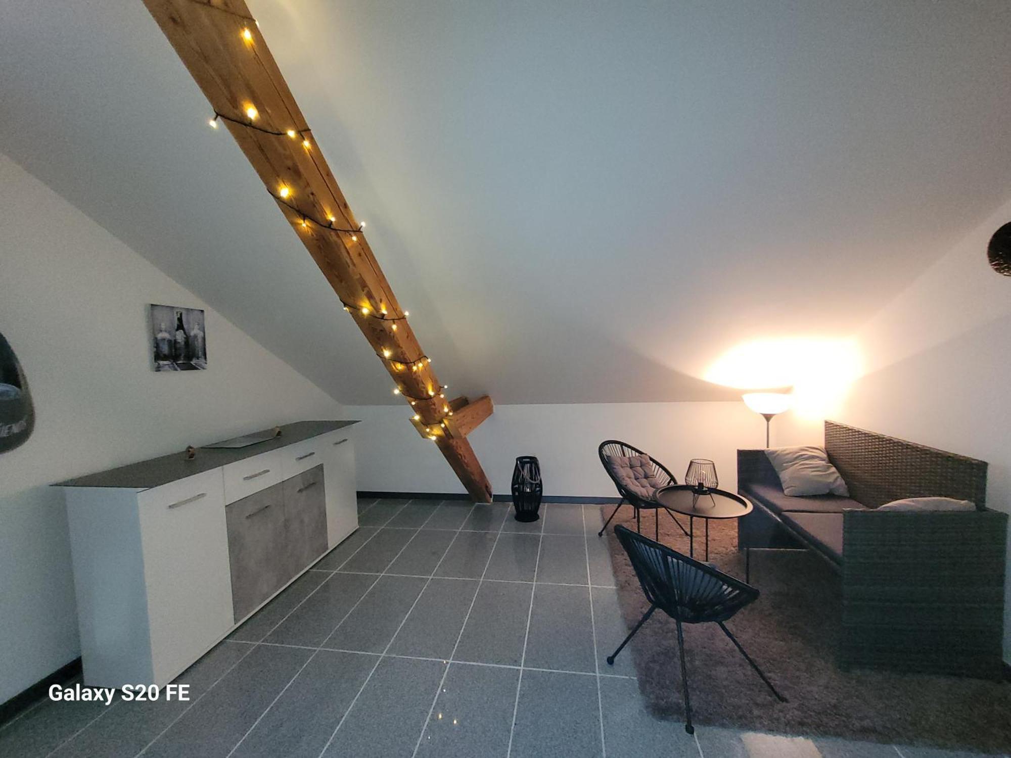 Penthouse N74 Linz 120 Qm Kids Welcome! מראה חיצוני תמונה